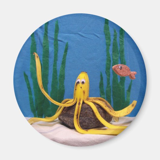 Aimant Le Nannerpus (Devant)