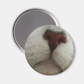 Aimant Le nez connaît l'aimant du noeud de chat #1 (Recto/Verso)