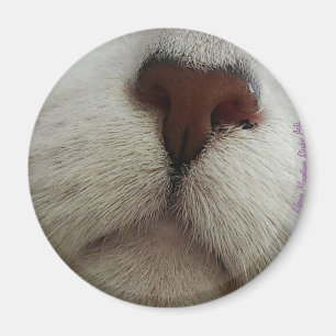 Aimant Le nez connaît l'aimant du noeud de chat #1