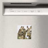 Aimant Le nom de girafe est dérivé du mot arabe (In Situ (Lave-vaisselle))