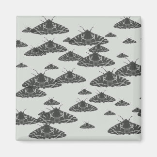 Aimant Le papillon de nuit à minuit