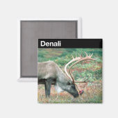 Aimant Le Parc national de Denali (Recto/Verso)