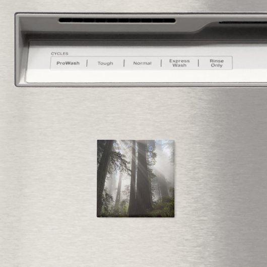 Aimant Le parc national de Redwood Californie (In Situ (Lave-vaisselle))