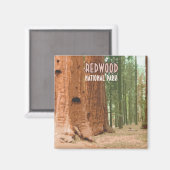 Aimant Le parc national de Redwood Californie (Recto/Verso)