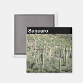 Aimant Le Parc national du Saguaro (Recto/Verso)
