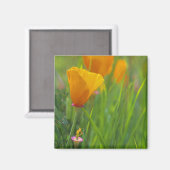 Aimant Le pavot d'or de Californie dans un champ vert (Recto/Verso)