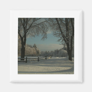 Aimant le pays des merveilles 1 d'hiver