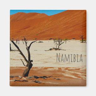 Aimant Le paysage des dunes de sable de Namibie Sossusvle