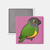 Aimant Le perroquet du Sénégal (Recto/Verso)