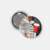 Aimant Le perroquet gris africain tenant une tasse (Recto/Verso)