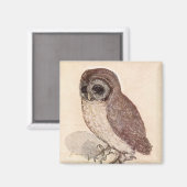 Aimant Le Petit hibou | Albrecht Dürer (Recto/Verso)