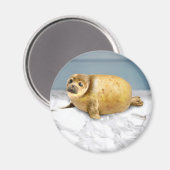 Aimant Le phoque de la pomme de terre (Recto/Verso)