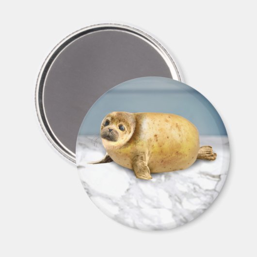 Aimant Le phoque de la pomme de terre (Recto/Verso)