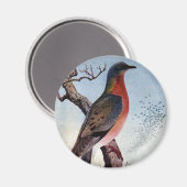 Aimant Le pigeon voyageur (Recto/Verso)