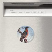 Aimant Le pigeon voyageur (In Situ (Lave-vaisselle))