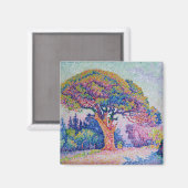 Aimant Le pin à Saint-Tropez, 1909 (Recto/Verso)