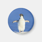 Aimant Le pingouin dans l'aimant de la neige (Devant)