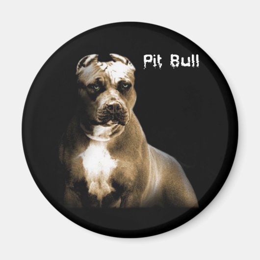 Aimant Le PITbull (Devant)
