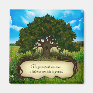 Aimant Le plus grand chêne était autrefois un petit noyer
