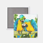 Aimant Le point sucré - Macaws bleu et or (Recto/Verso)