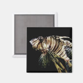 Aimant Le poisson-Lion (Recto/Verso)