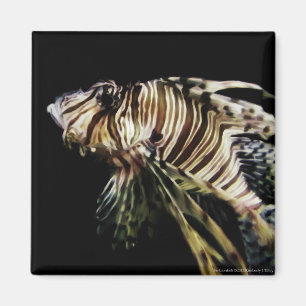 Aimant Le poisson-Lion