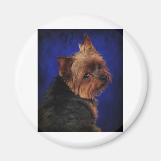 Aimant Le Poser (Devant)