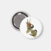 Aimant Le poulet aux châtaignes de Fuertes (Recto/Verso)