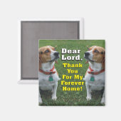 Aimant Le Prayer Beagle (Recto/Verso)