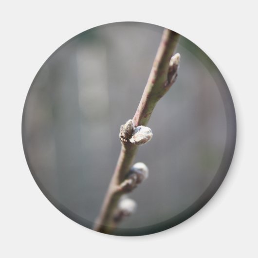 Aimant Le printemps arrive (Devant)