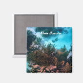 Aimant Le récif de Bonairean (Recto/Verso)