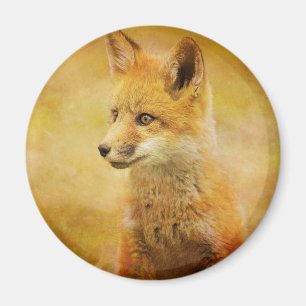 Aimant Le Renard dans le Bois