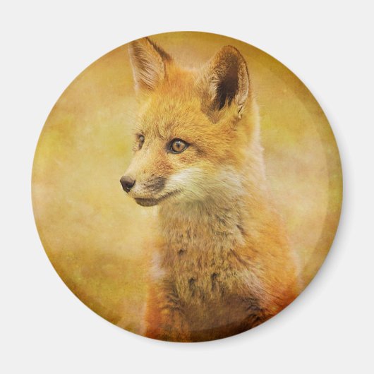 Aimant Le Renard dans le Bois (Devant)