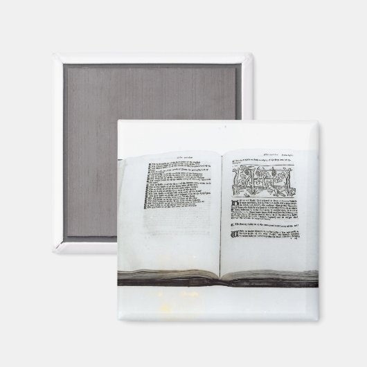 Aimant Le renard et les raisins (Recto/Verso)