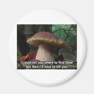 Aimant Le Roi Bolete - je devrais vous tuer