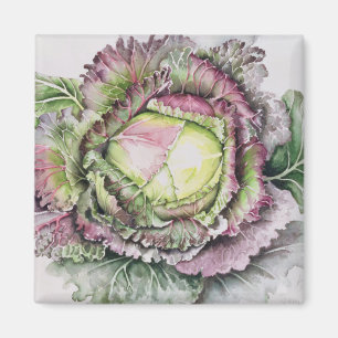 Aimant Le Roi Cabbage de janvier