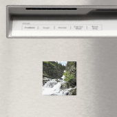 Aimant Le ruisseau Aster dans le parc national Glacier (In Situ (Lave-vaisselle))