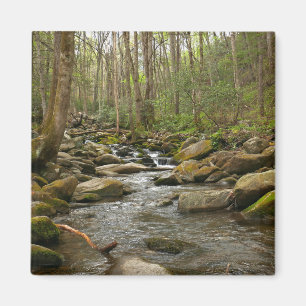Aimant Le ruisseau Le Conte dans les montagnes Great Smok