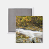 Aimant Le ruisseau Roaring à l'automne dans le Vermont's  (Recto/Verso)