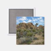 Aimant Le sentier de boucle du barrage Barker au parc nat (Recto/Verso)