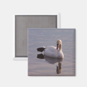 Aimant Le singe (Recto/Verso)