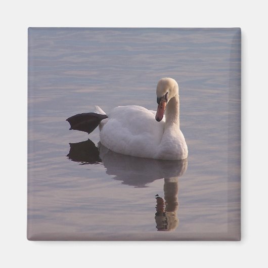 Aimant Le singe (Devant)