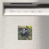 Aimant Le singe tacheté de Schmidt (In Situ (Lave-vaisselle))