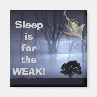 Aimant Le sommeil est pour la FAIM !