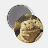 Aimant Le sourire de la tortue (Recto/Verso)