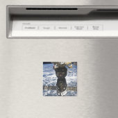 Aimant Le Soyouz TMA-19 (In Situ (Lave-vaisselle))