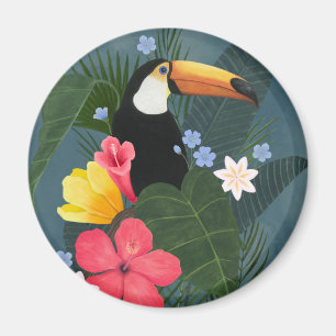 Aimant Le Toucan tropical en pleine nature