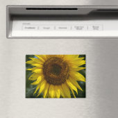 Aimant - Le Tournesol Jaune  (In Situ (Lave-vaisselle))