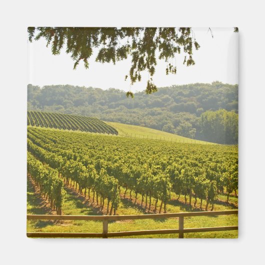 Aimant Le vignoble et une vallée avec une forêt - (Devant)