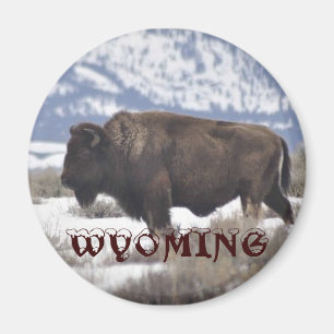 Aimant Le Wyoming